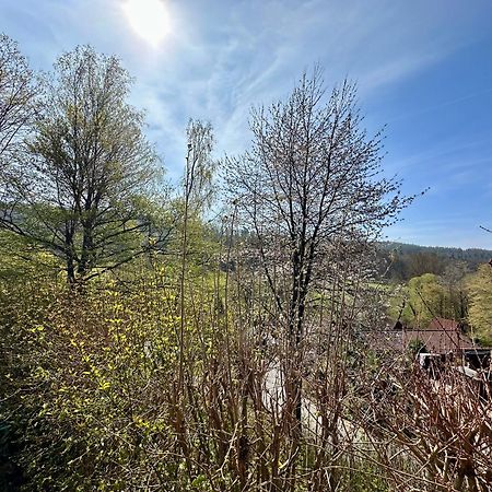 Natur Pur - Waldurlaub Im Tiny House Ronshausen エクステリア 写真