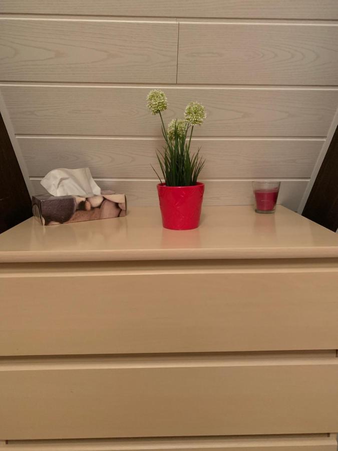 Natur Pur - Waldurlaub Im Tiny House Ronshausen エクステリア 写真