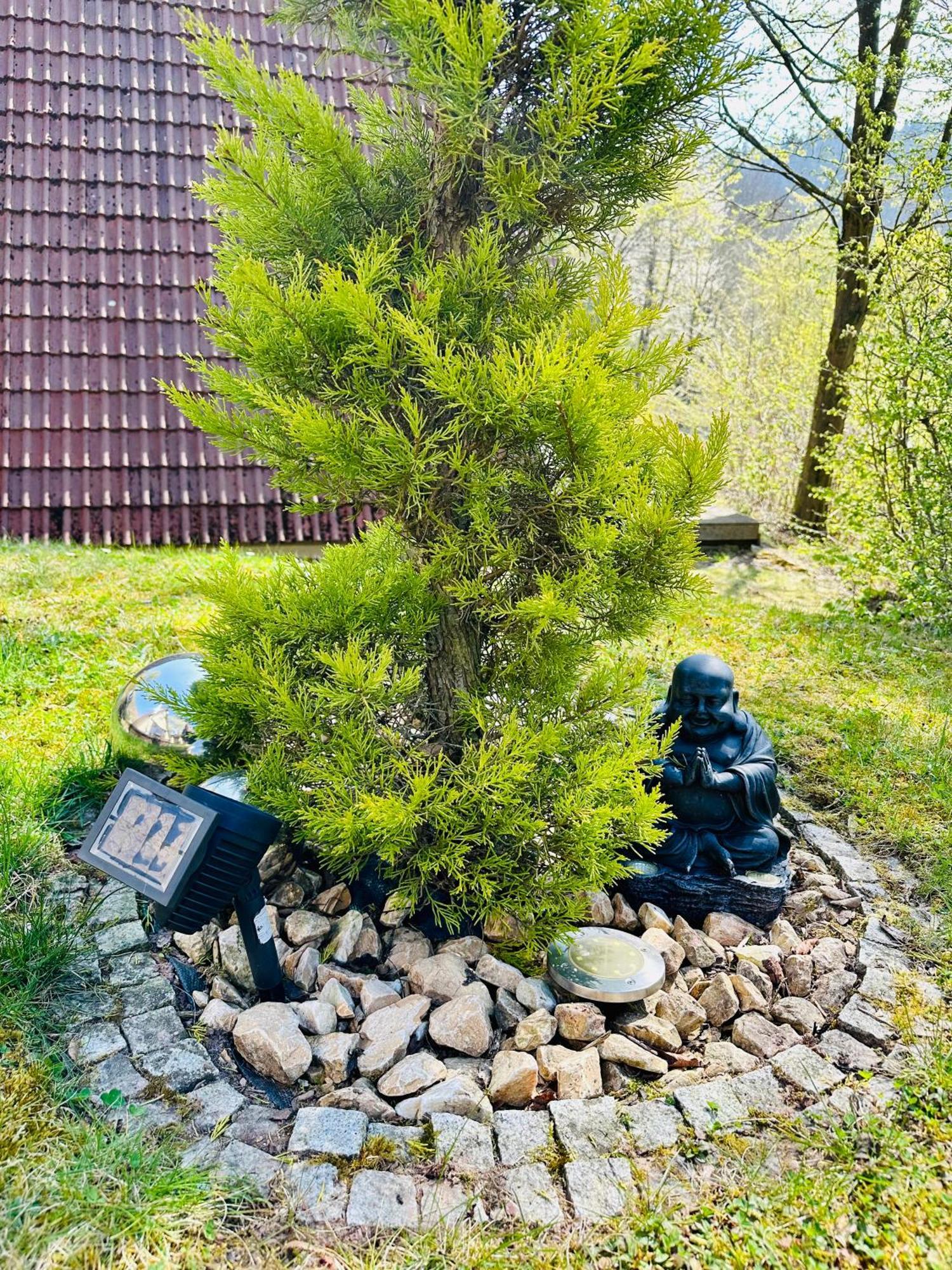 Natur Pur - Waldurlaub Im Tiny House Ronshausen エクステリア 写真