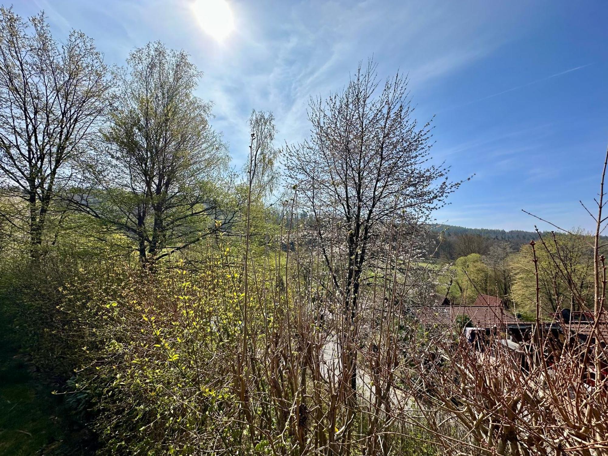Natur Pur - Waldurlaub Im Tiny House Ronshausen エクステリア 写真